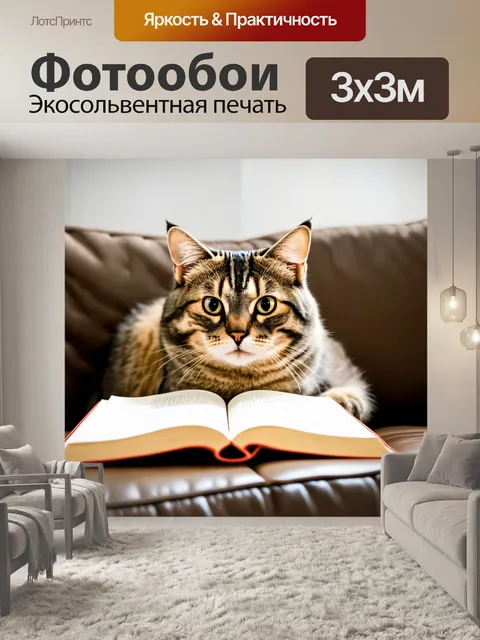 Фотообои кошка, уютно устроившаяся на диване с книгой