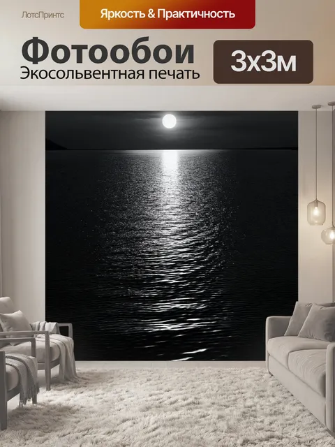 Фотообои озеро в черно-белом стиле, светлая лунная ночь с колебаниями воды
