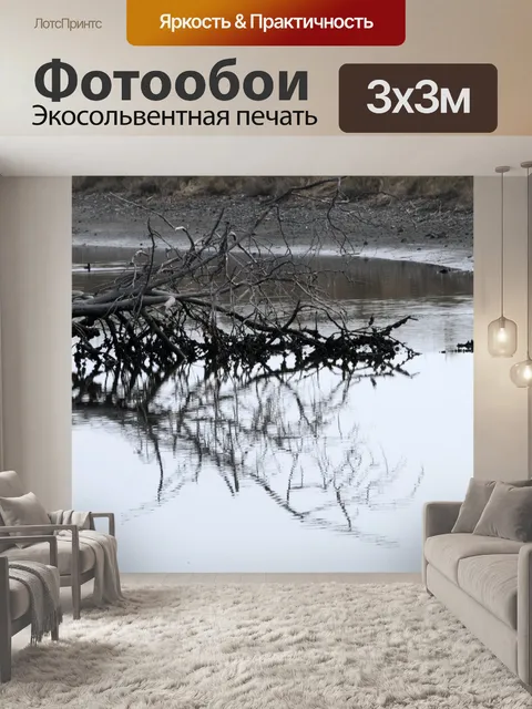Фотообои Голые падшие деревья в отражении воды