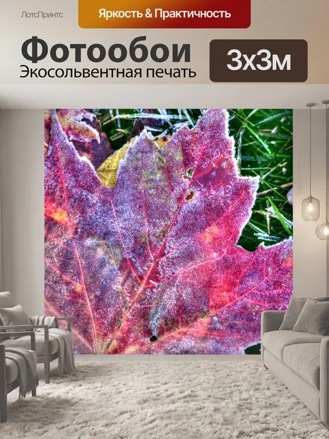 Фотообои кленовый лист