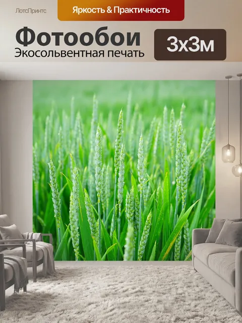 Фотообои Пшеница