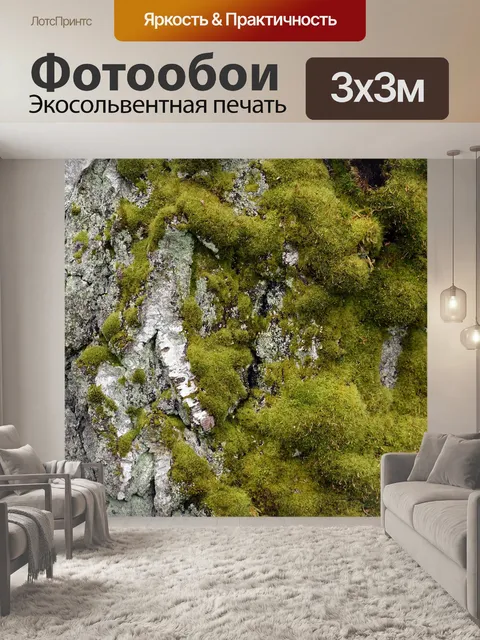 Фотообои Вниз