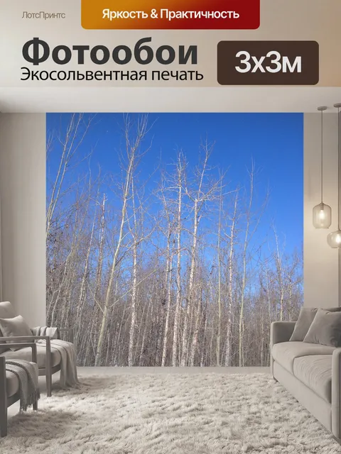 Фотообои Деревья
