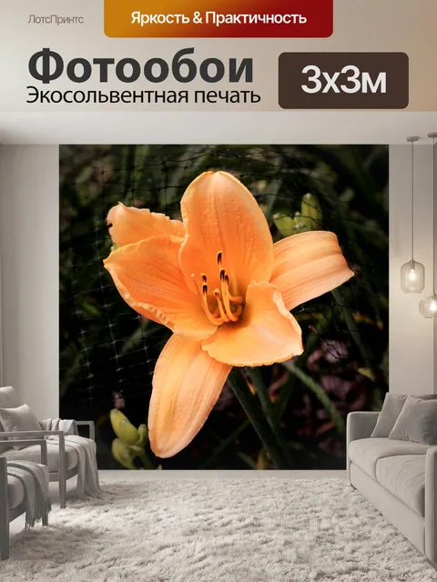 Фотообои Лилейник