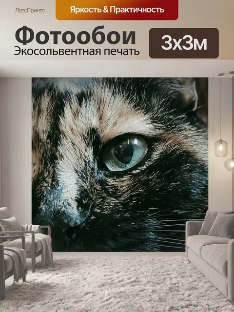 Фотообои Кошка