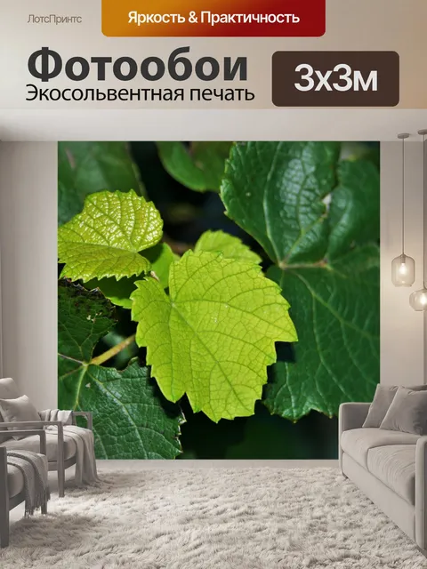 Фотообои контрастные зелень