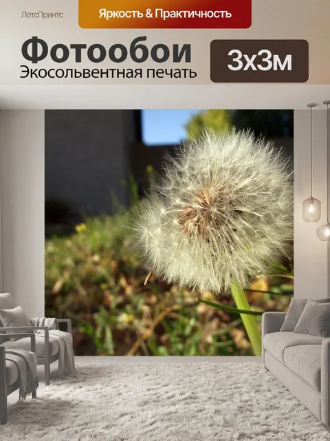 Фотообои одуванчика во дворе