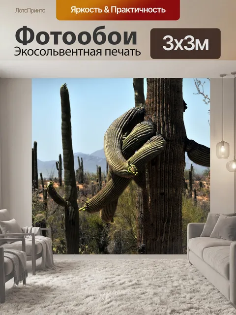Фотообои Twisted Saguaro