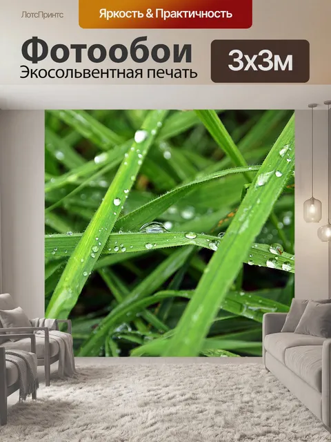 Фотообои Капли