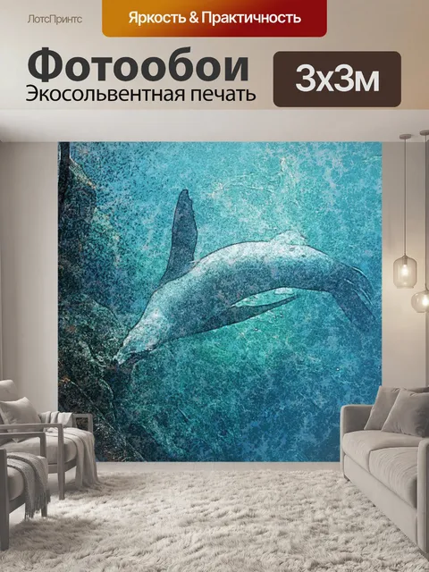 Фотообои Тюлень