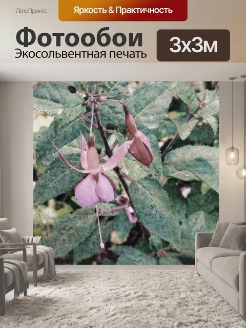 Фотообои Цветы Фуксии