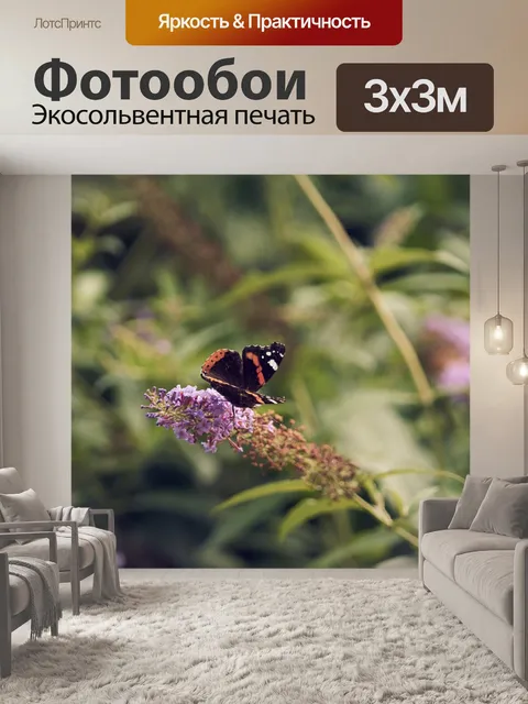 Фотообои Бабочка на цветке