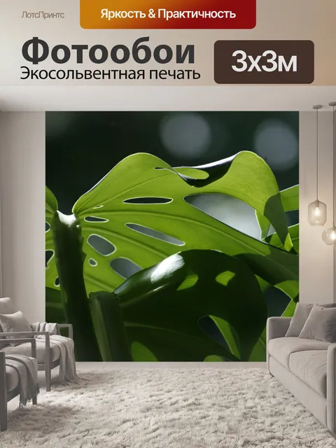 Фотообои Монстера