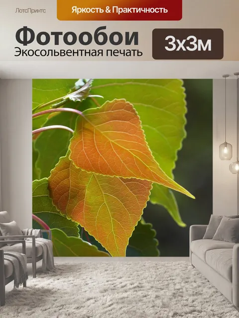 Фотообои Лист