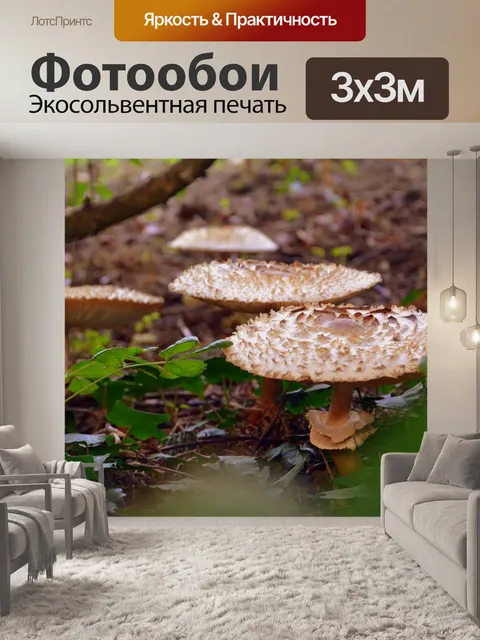 Фотообои Грибы