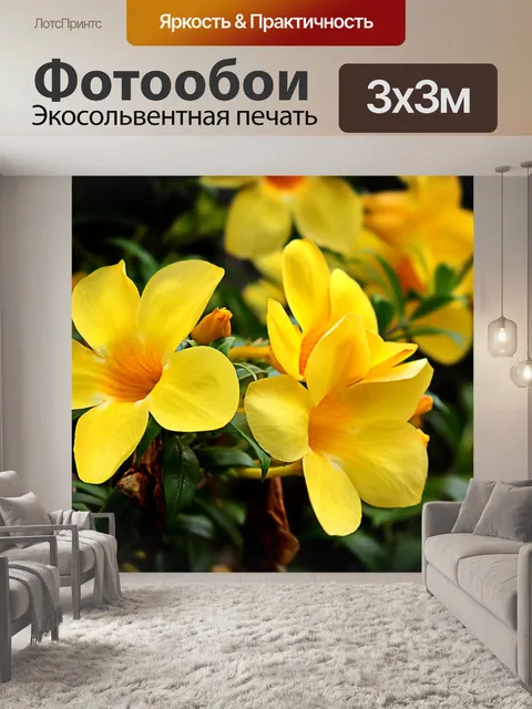 Фотообои Цветок