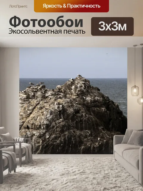 Фотообои Bird Rock