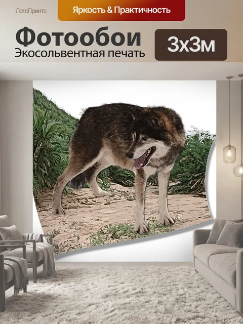 Фотообои Волк арт стоя 3d