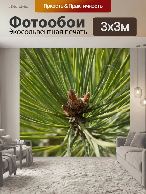 Фотообои Needle