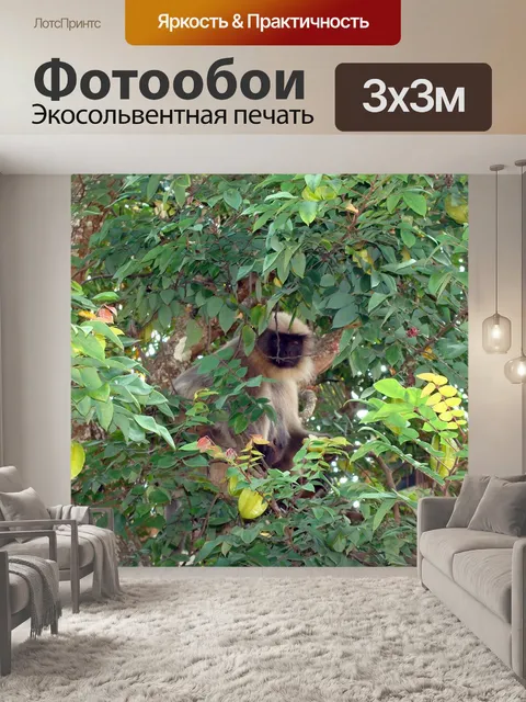 Фотообои Обезьяна