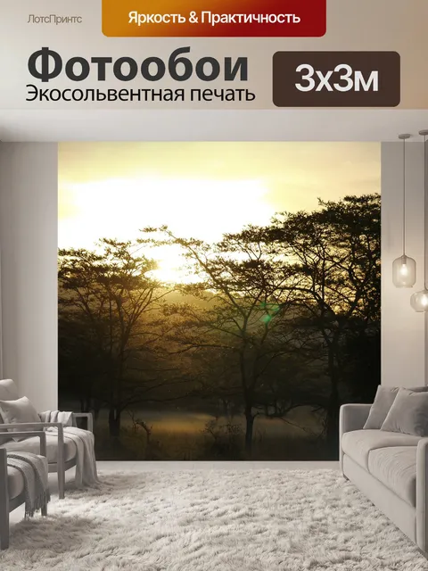 Фотообои Акациевый лес