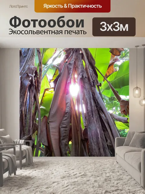 Фотообои Банановое дерево