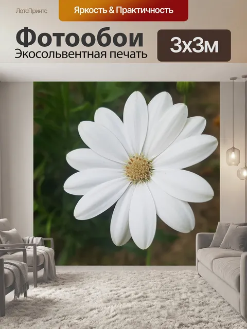 Фотообои Белый цветок