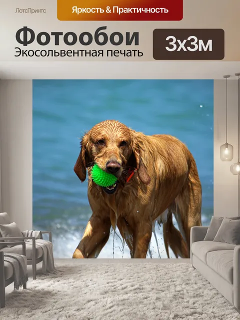Фотообои Собаки