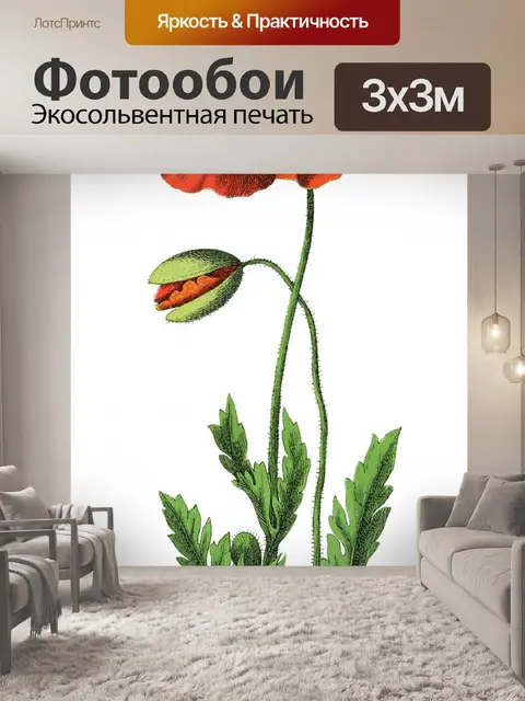 Фотообои Винтажная художественная иллюстрация мак