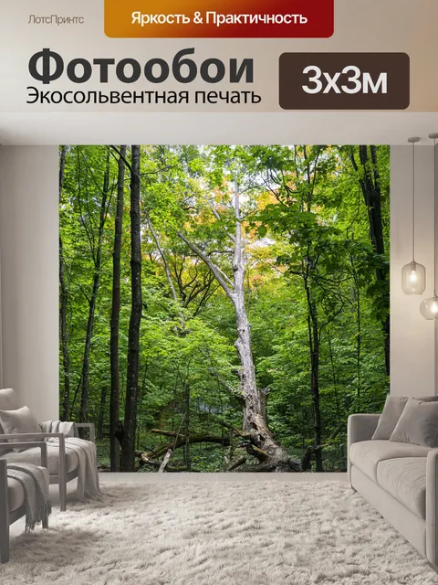 Фотообои Деревья