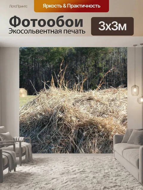 Фотообои Сено ворс