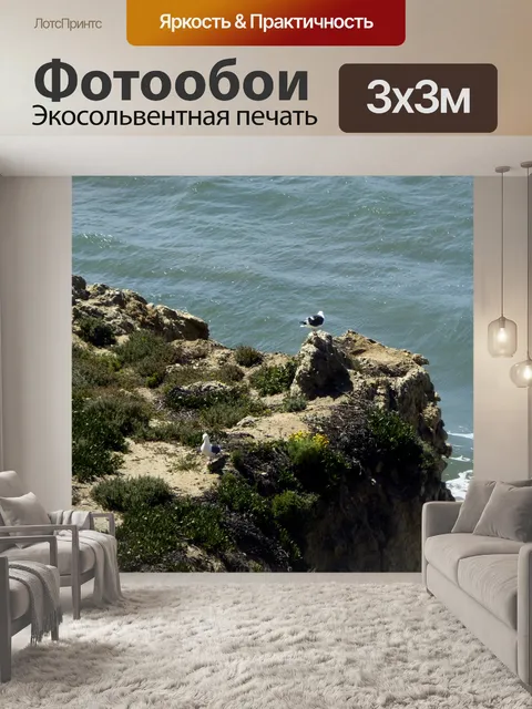 Фотообои Чайки на скале в океане