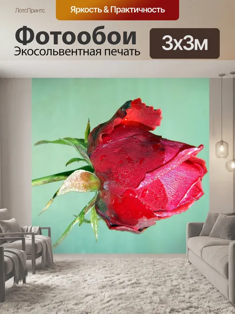 Фотообои Роза