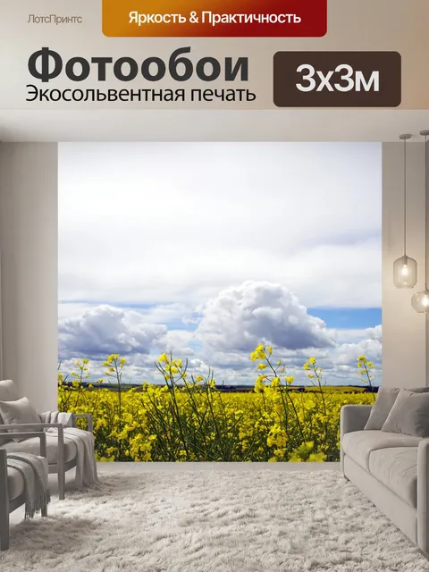 Фотообои Рапса