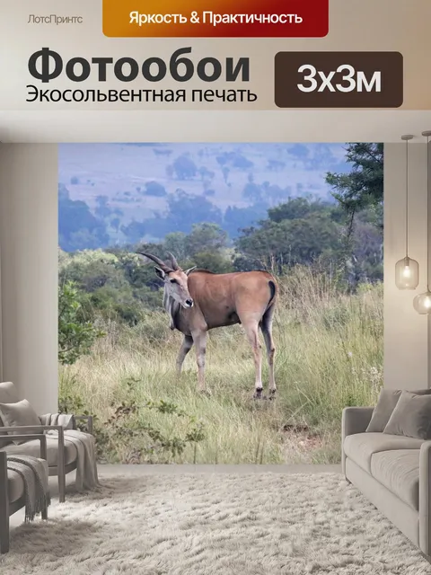 Фотообои антилопа в длинной траве