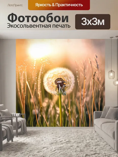 Фотообои пуховка одуванчика, противостоящая порывам ветра, окружена мелкими каплями росы, сверкающими на утреннем…