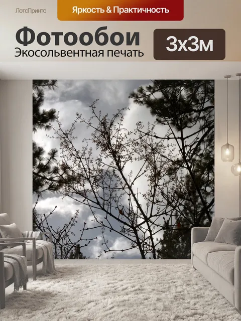Фотообои Зимние деревья