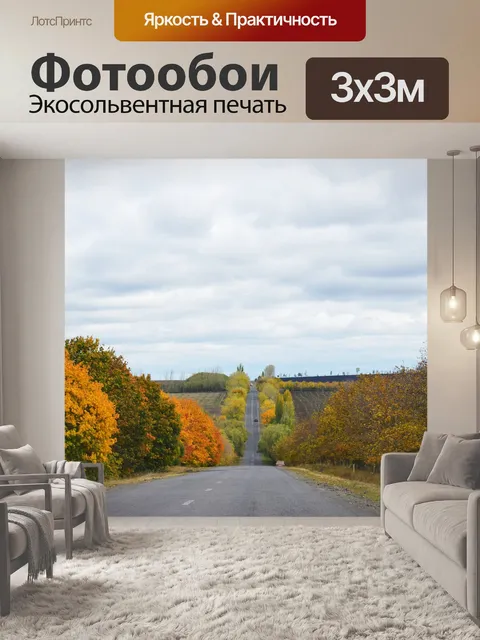 Фотообои Дорога