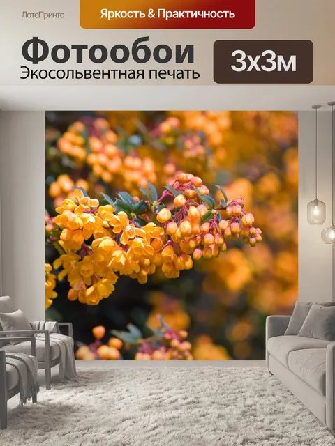 Фотообои Оранжевые цветы