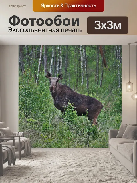 Фотообои Лось