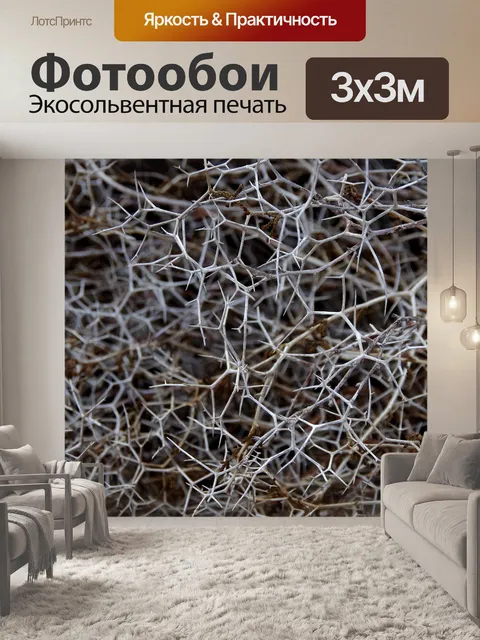 Фотообои Крупный план колючие сорняки