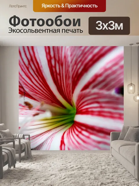 Фотообои Калла Лили 2