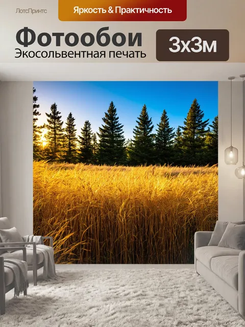 Фотообои поле, окаймленное высокими соснами, смотрится величественно на фоне сверкающего синего неба