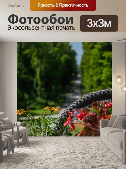 Фотообои Велосипед