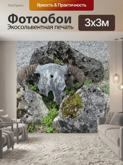 Фотообои Рога