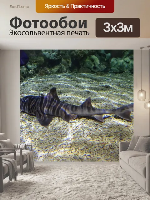 Фотообои Зебра Хорн Шарк