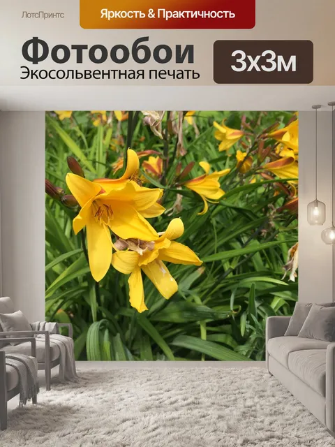 Фотообои Лилии