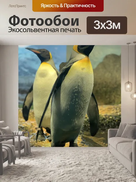 Фотообои Пингвины