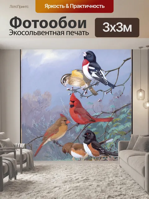 Фотообои Винтажная живопись птиц