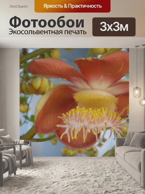 Фотообои Кэннон мяч дерево цветок